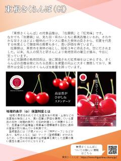 東根さくらんぼ