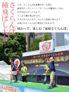 さくらんぼ種飛ばし大会