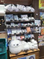 北海道フーディスト店内1