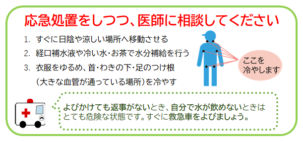 涼しい場所へ移動し、経口補水液や水やお茶を飲み、首やわきの下、足の付け根を冷やすなどの応急処置をしつつ、医師へ相談しましょう。