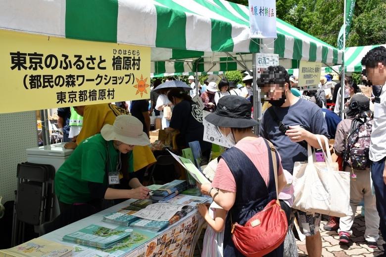 過去の様子写真1