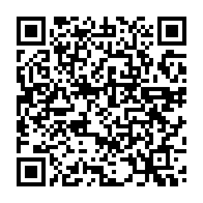 申し込み二次元コード