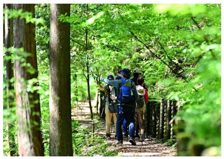 ガイドウォーク