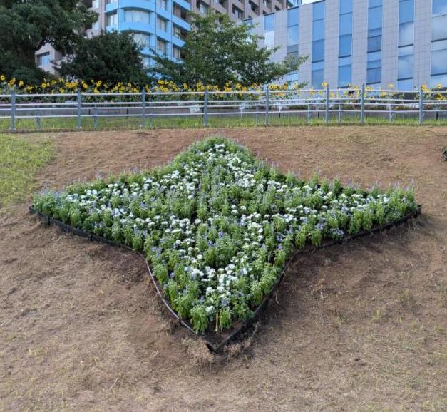 区シンボルマーク