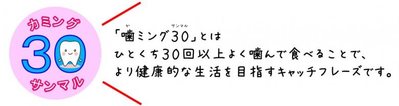 噛ミング30の説明