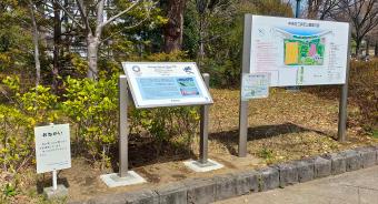 浜町公園
