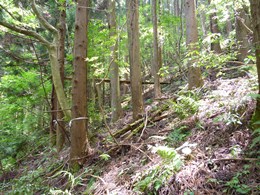 施業前