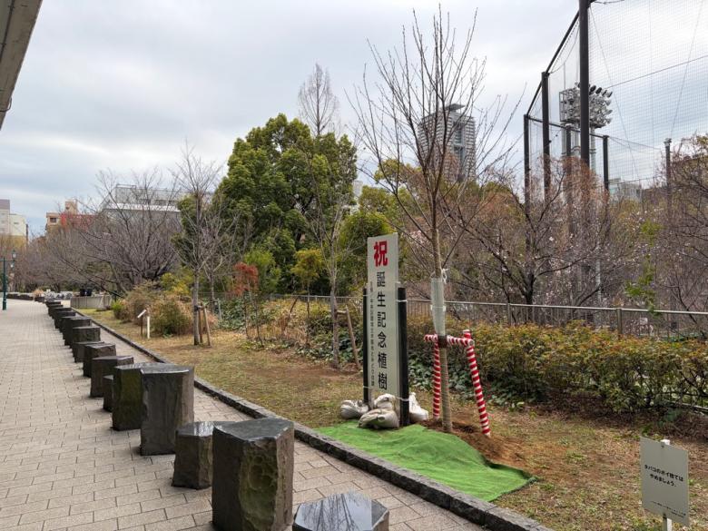 浜町公園