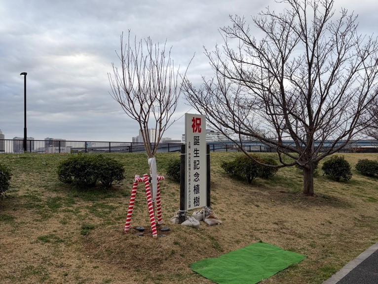 晴海臨海公園