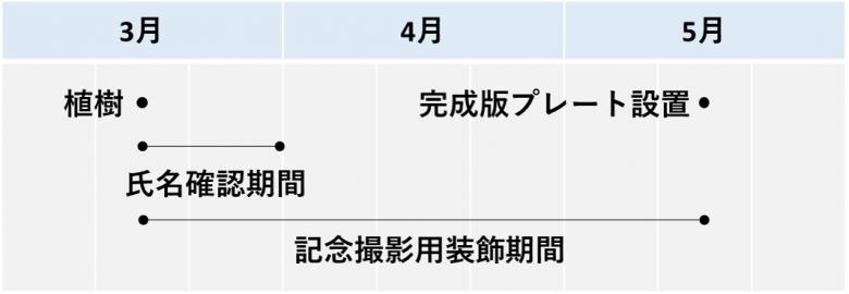 スケジュール