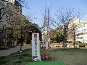 過去の記念樹