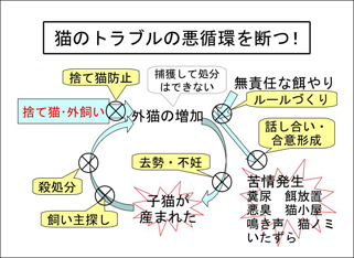 画像猫のトラブルの悪循環を断つ！