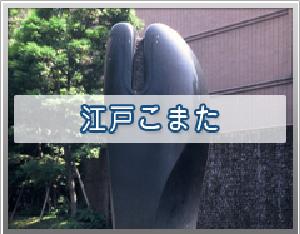 江戸こまた　画像