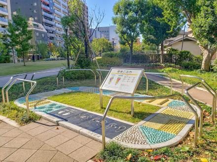 写真　健康増進遊具